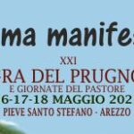 programma manifestazione sagra del prugnolo Pieve Santo Stefano